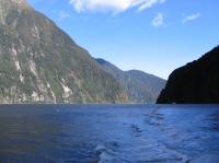Albums/20060200-New Zealand 2006/20060211-Milford Sound/40